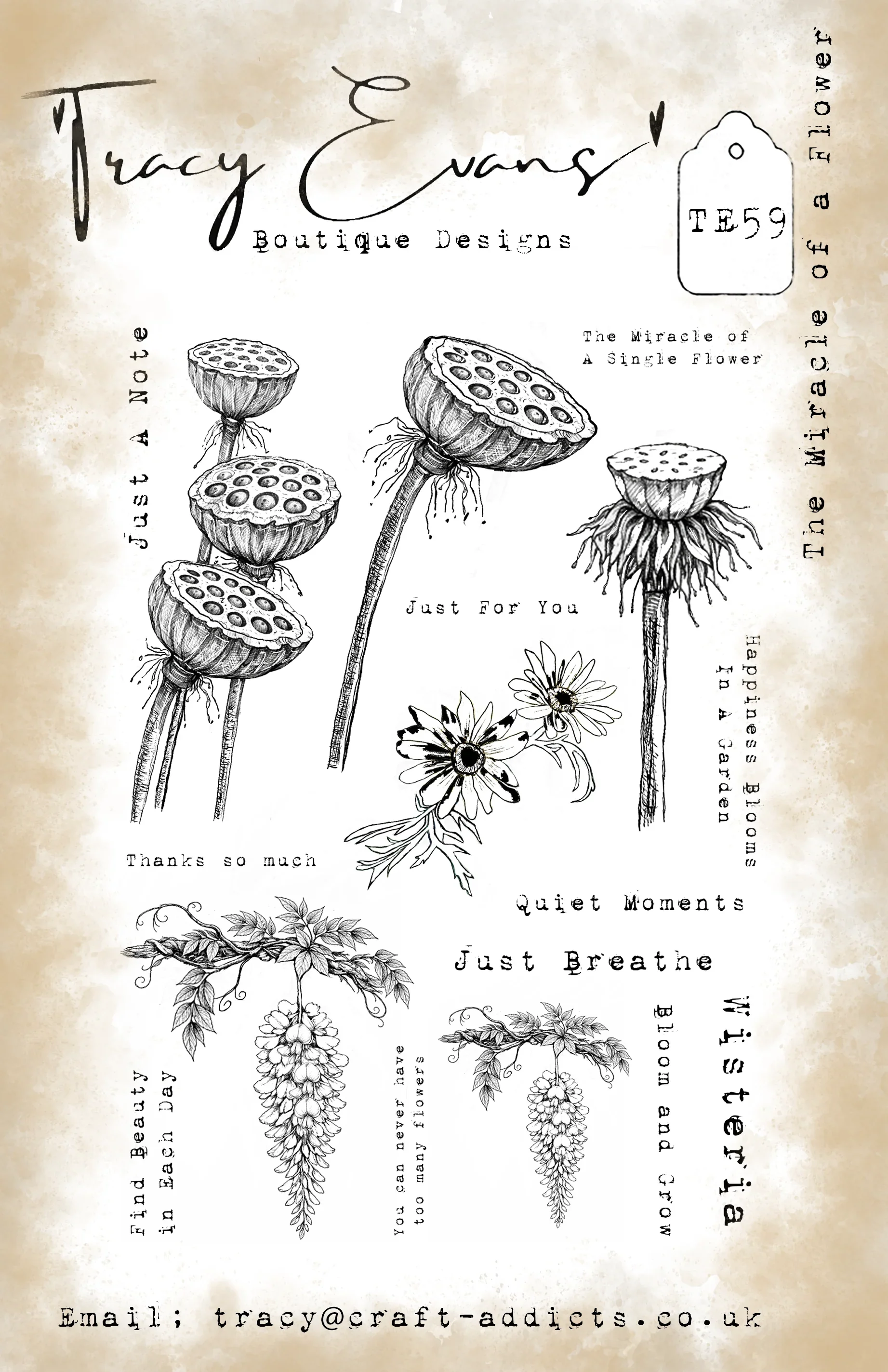フォックスプラットフォームズ タイルズ フラワーズ ニュー2 - Candle Making Books のレビューと価格